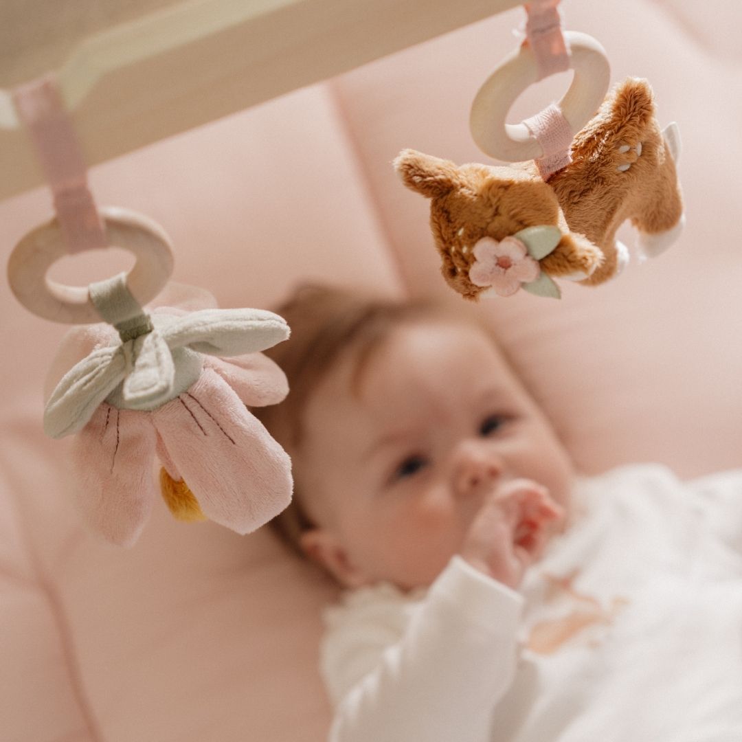 Little Dutch babygym Fairy Garden