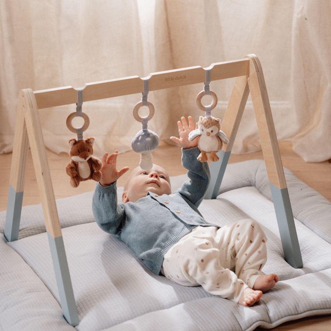 Little Dutch babygym Forest Friends