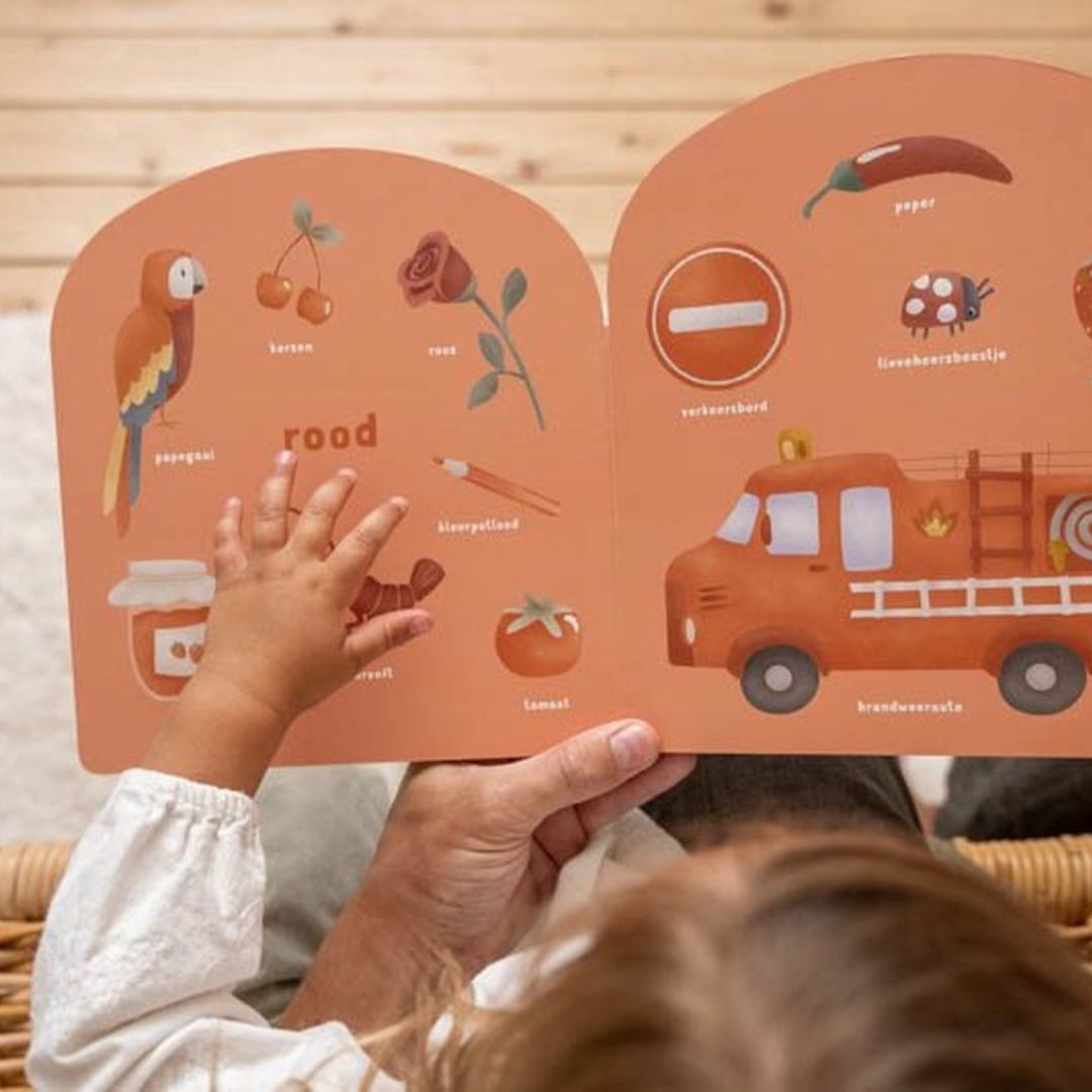 Little Dutch kartonboek kleurenboek regenboog