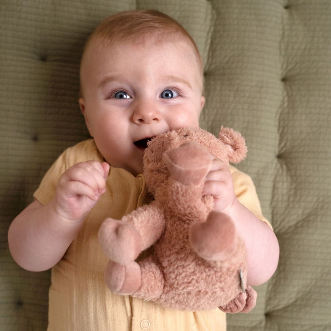 Little Dutch knuffel varken - Klein