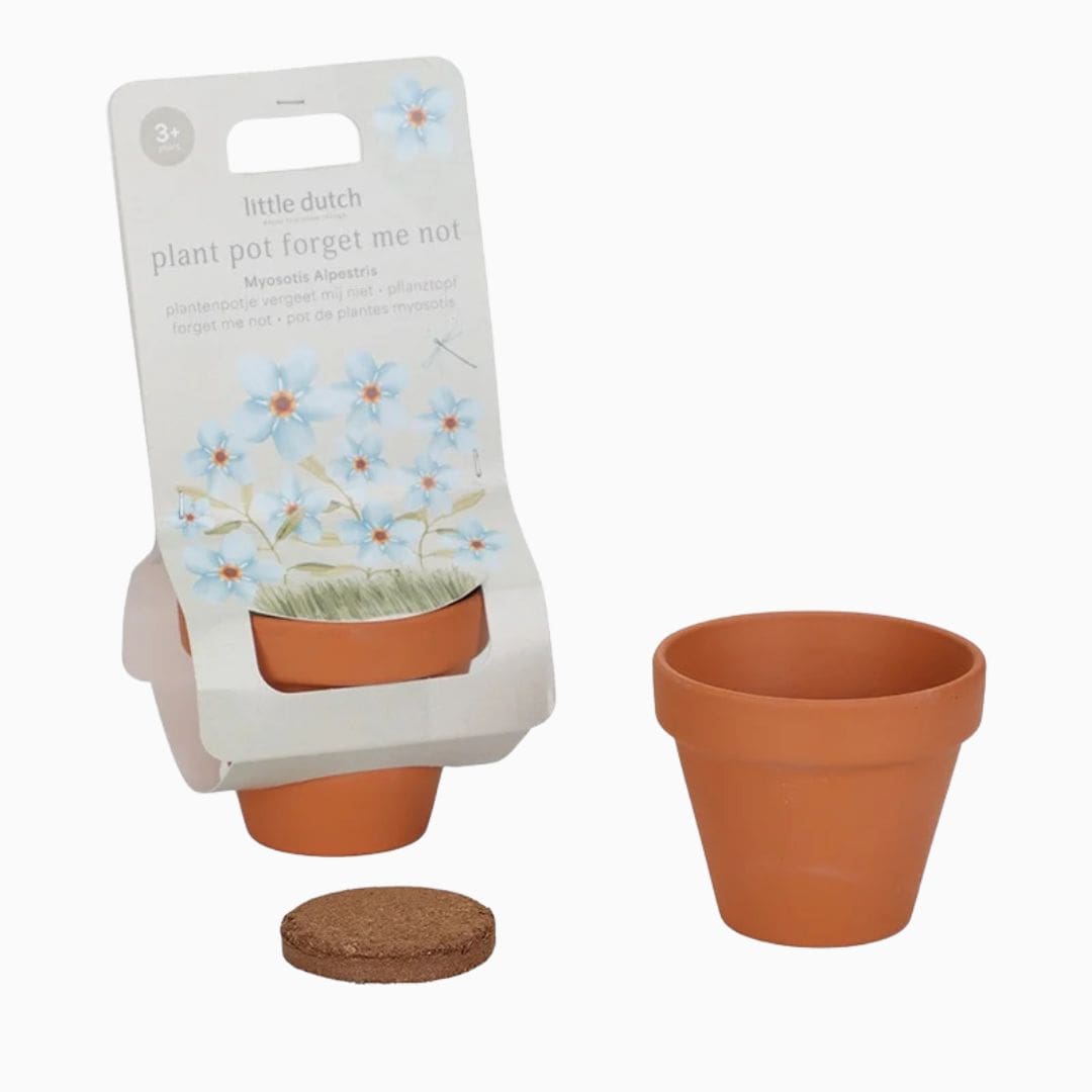 Little Dutch plantenpotje Vergeet-Mij-Niet