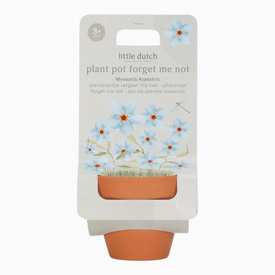 Little Dutch plantenpotje Vergeet-Mij-Niet