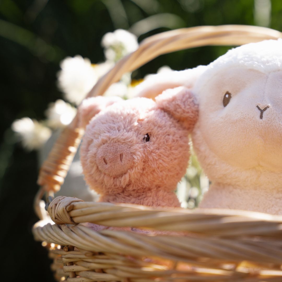 Little Dutch knuffel varken - Klein