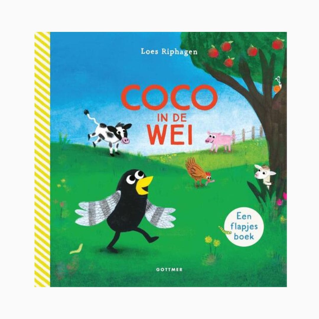 Coco in de wei van Loes Riphagen