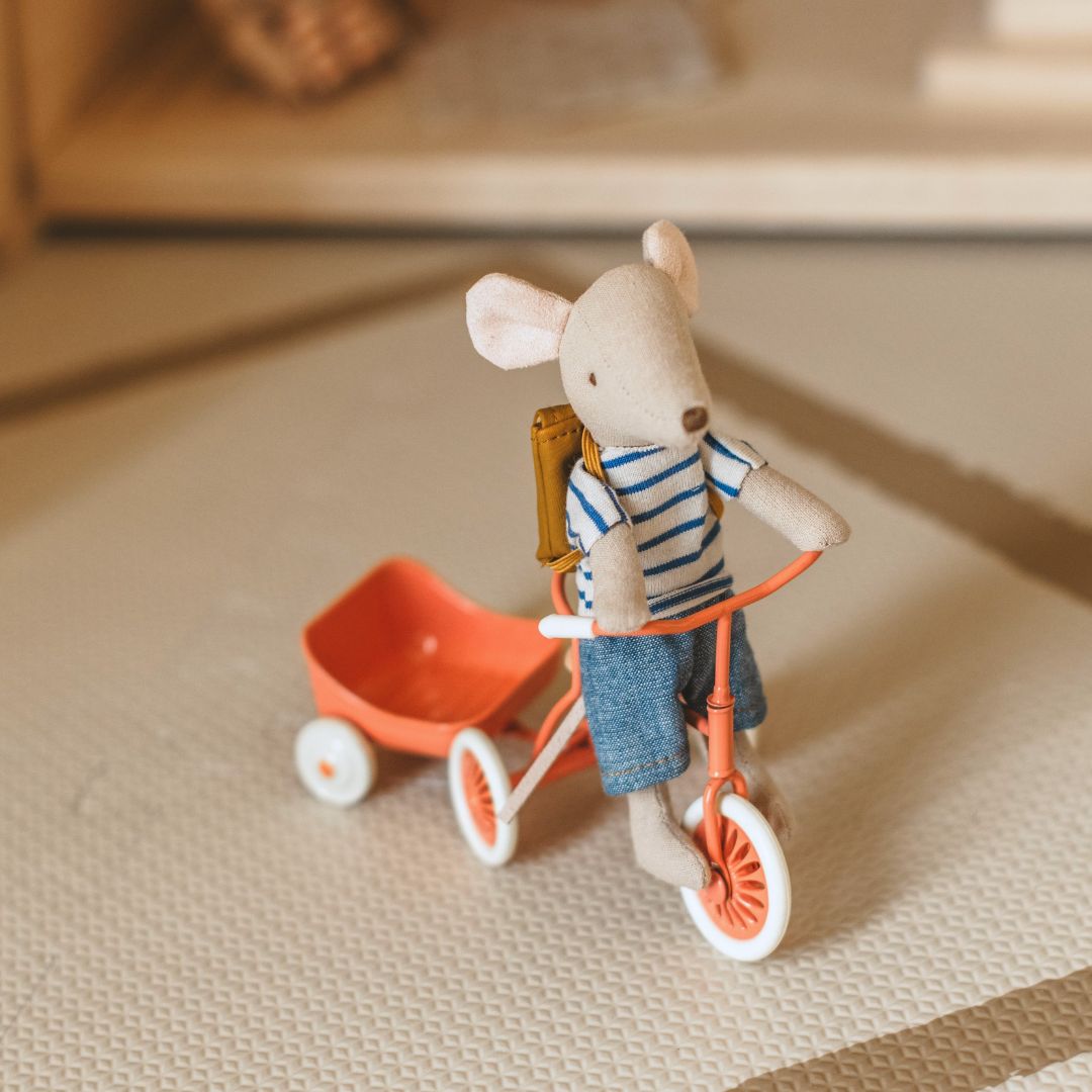 Mailer driewieler muis grote broer