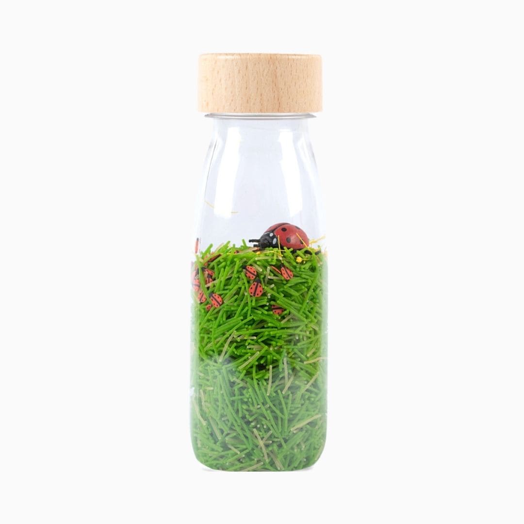 Petit Boum Sensory Sound Bottle sensorische fles met lieveheersbeestjes