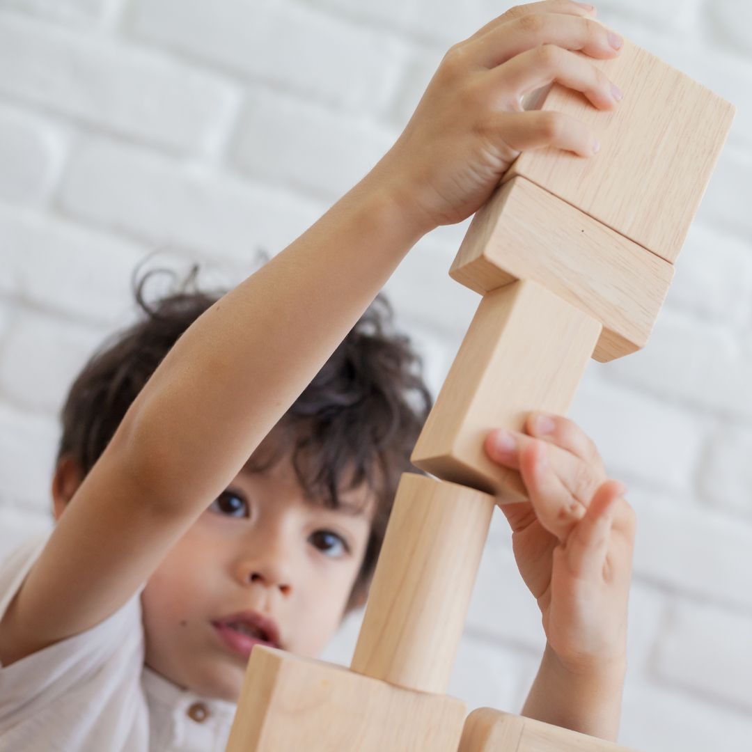 PlanToys duurzame houten speelgoed blokken naturel 50-delig