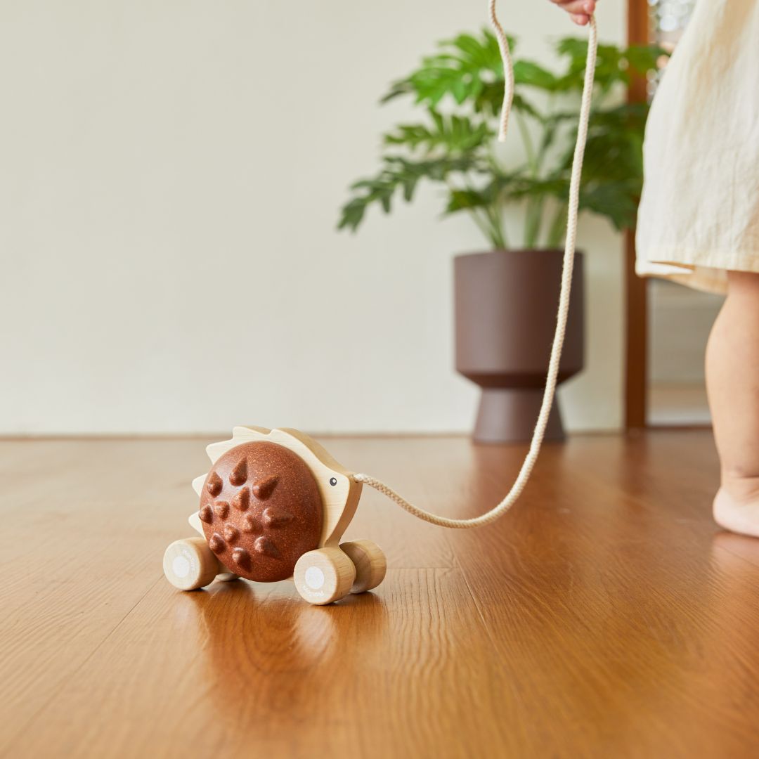 Plantoys houten trekdier egel