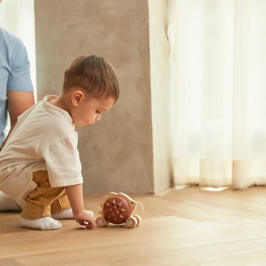 Plantoys houten trekdier egel