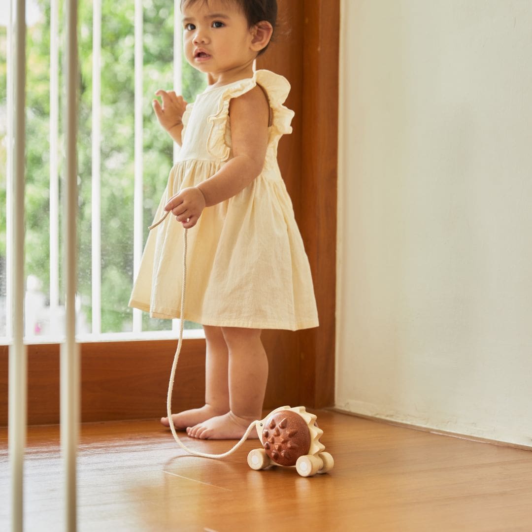 Plantoys houten trekdier egel