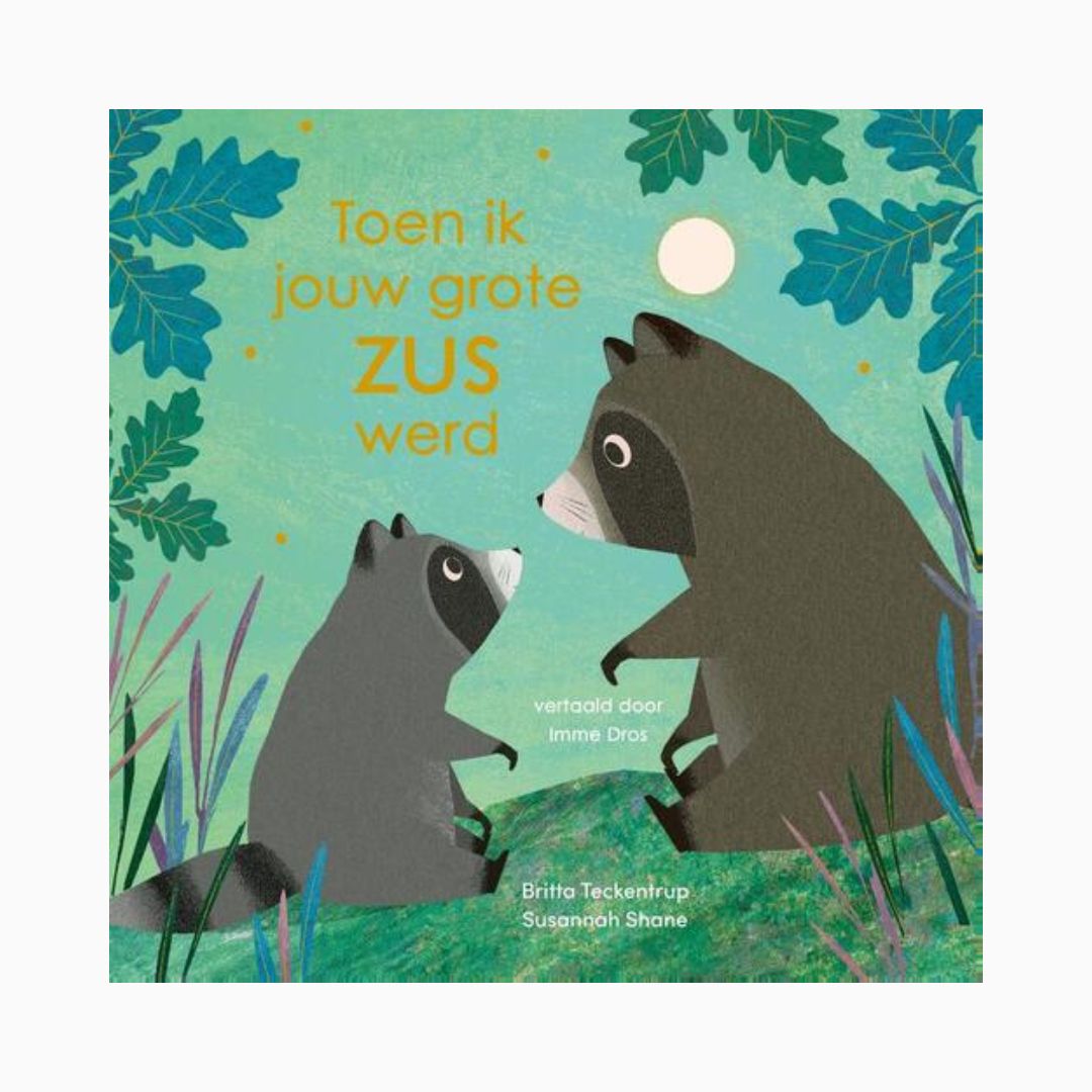 Prentenboek toen ik jouw grote zus werd | Britta Teckentrup