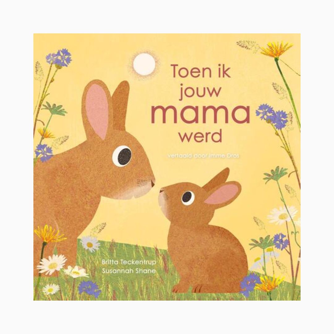 Prentenboek toen ik jouw mama werd | Britta Teckentrup