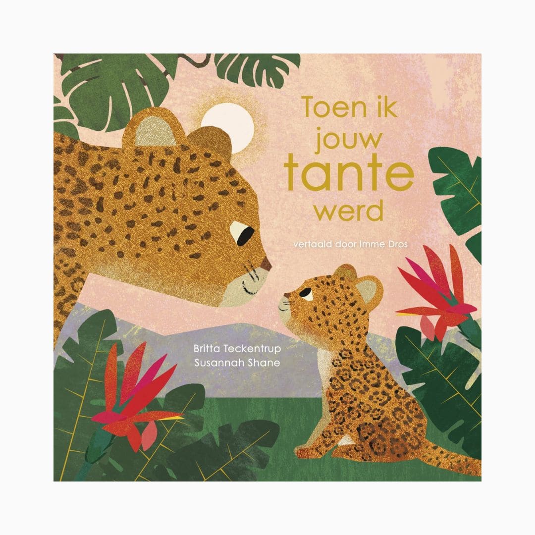 Prentenboek toen ik jouw tante werd van Britta teckentrup