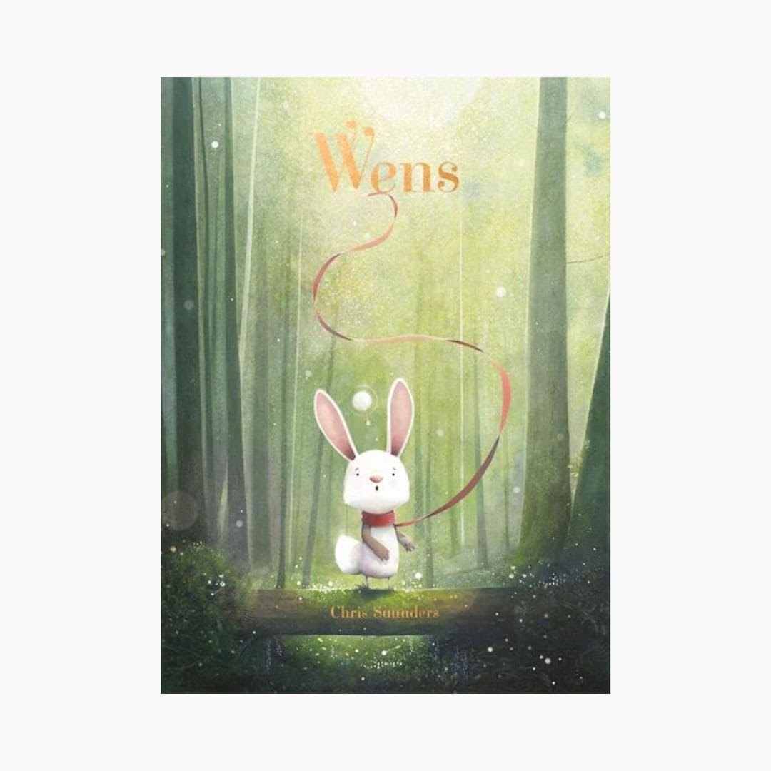 Prentenboek 'Wens' van Chris Saunders