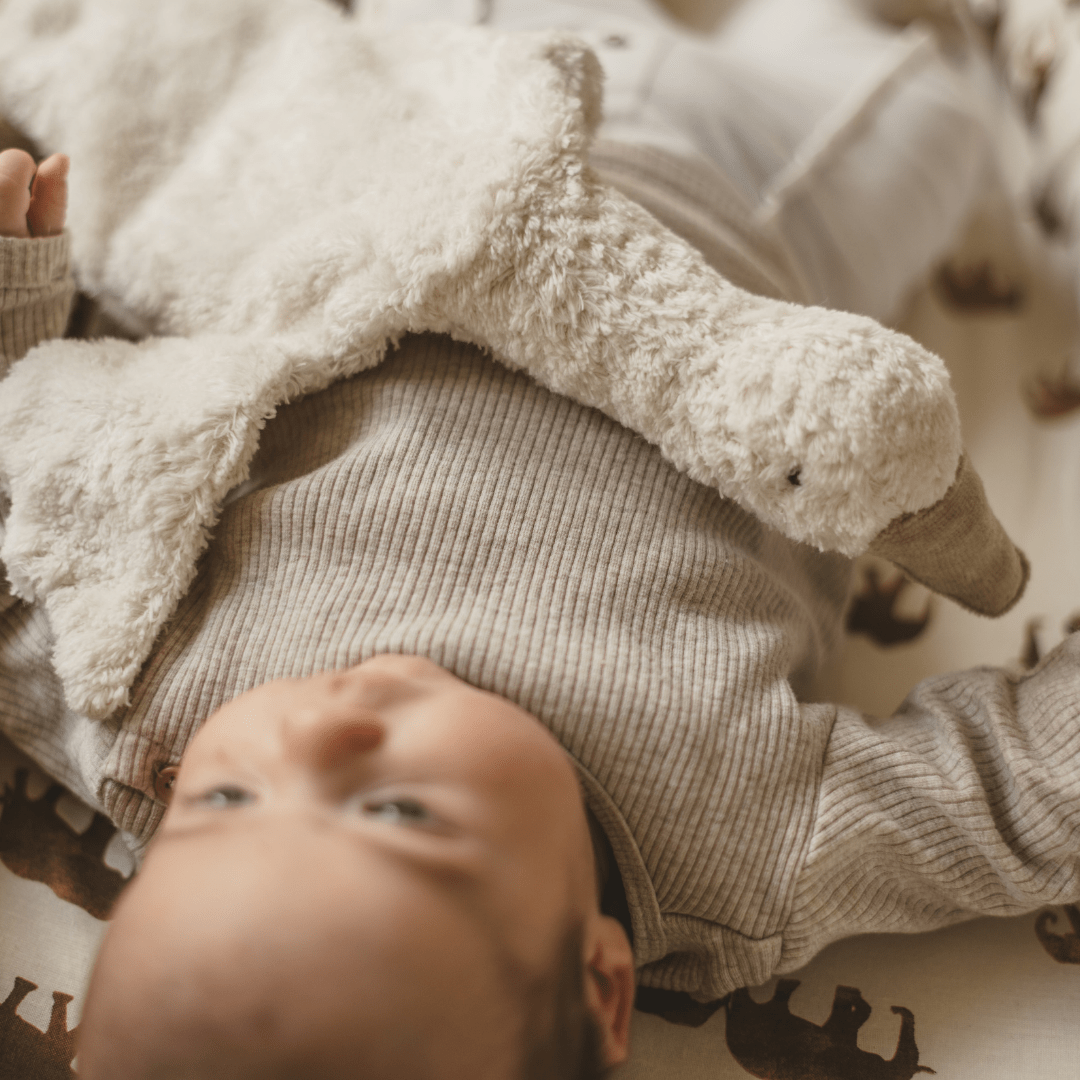 Senger Naturwelt warmteknuffel met kersenpitten gans in de kleur wit