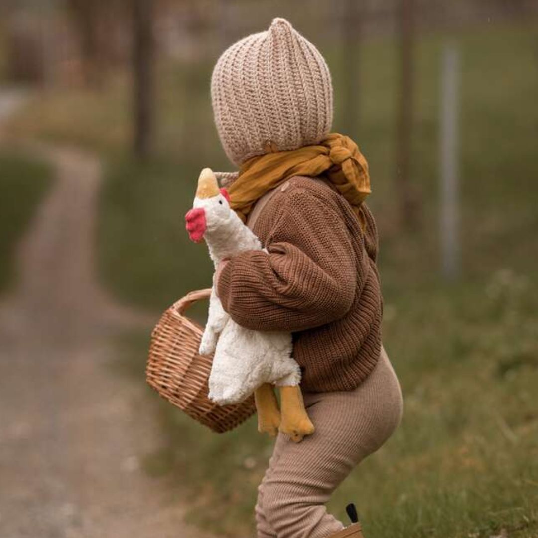 Senger warmteknuffel kip met warmtekussen met druivenpitten
