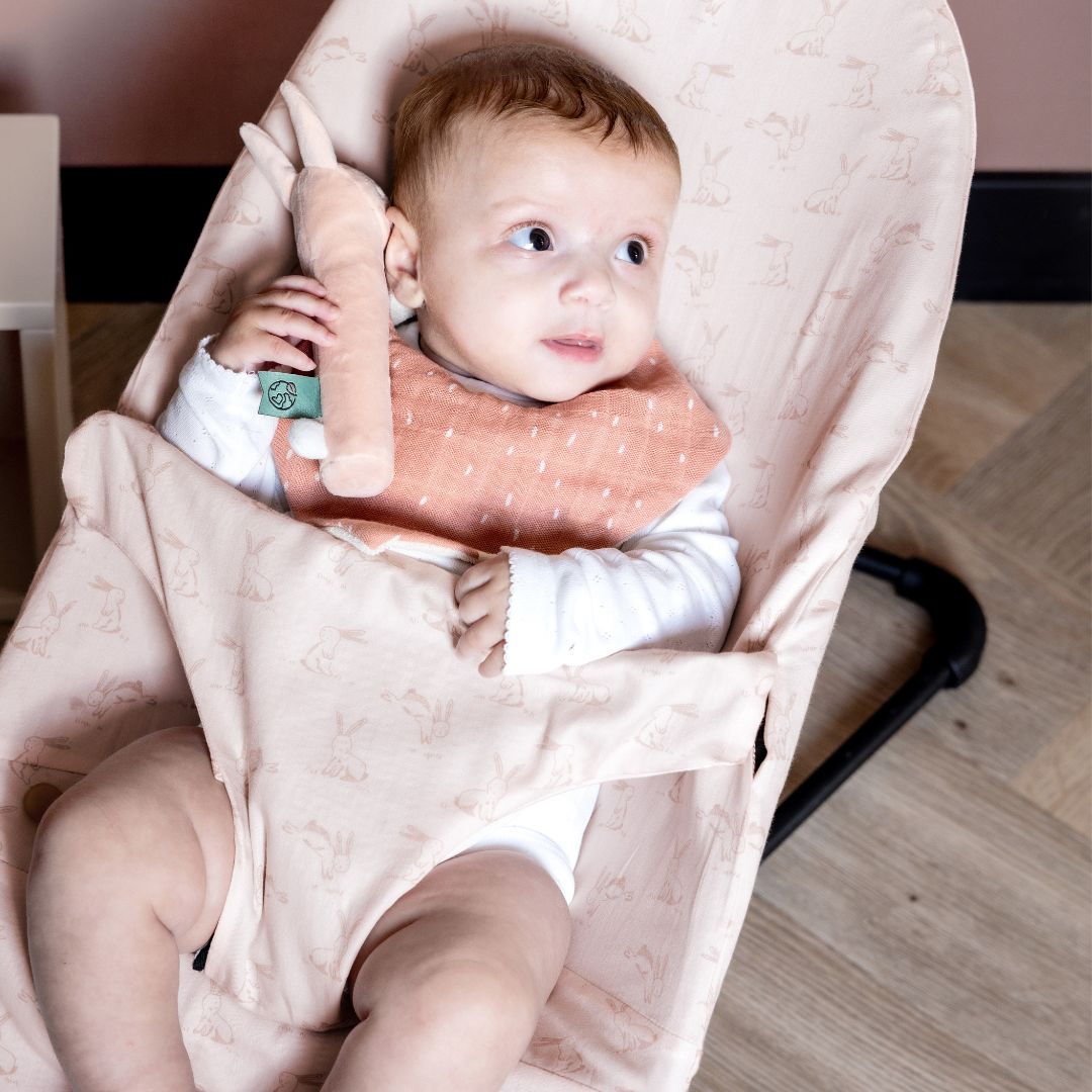 Trixie bandana slabben set Rabbit - 3 stuks