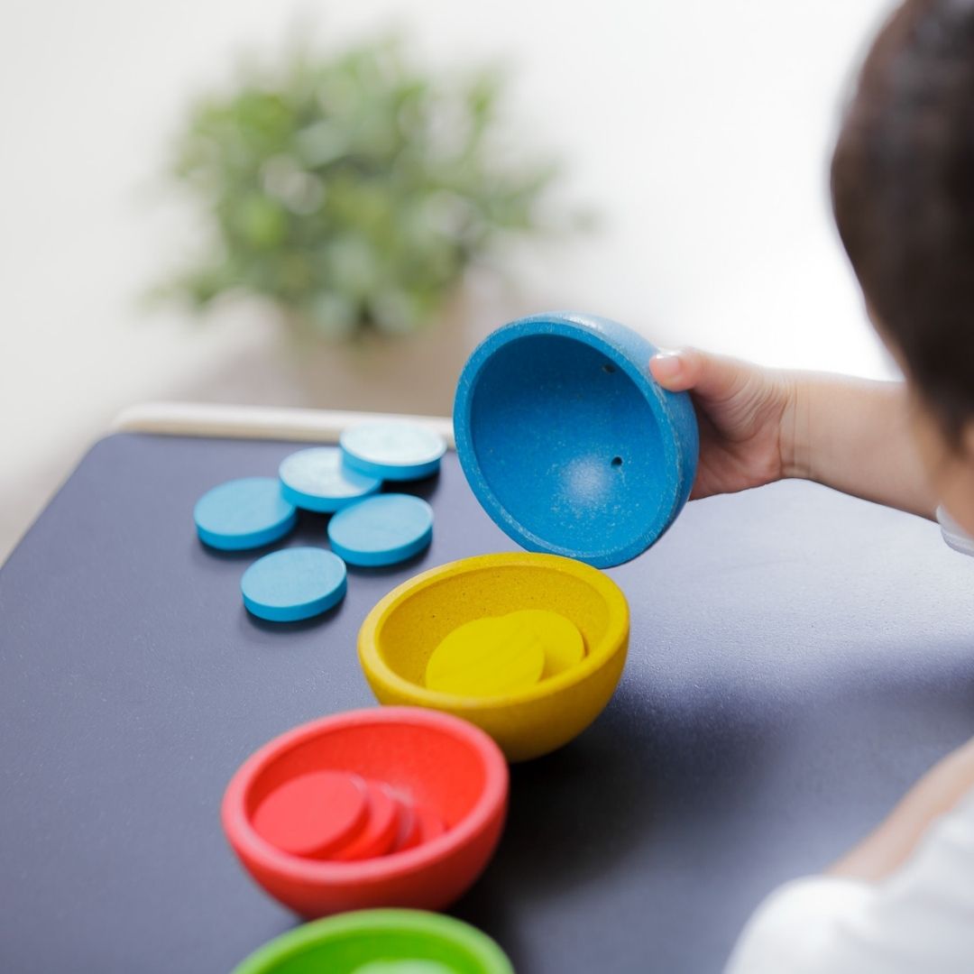 PlanToys tel- en sorteerset