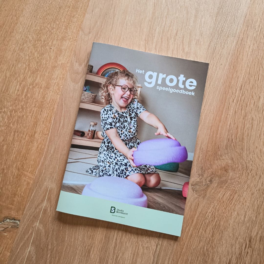 Het grote speelgoedboek van Studio Bambacht