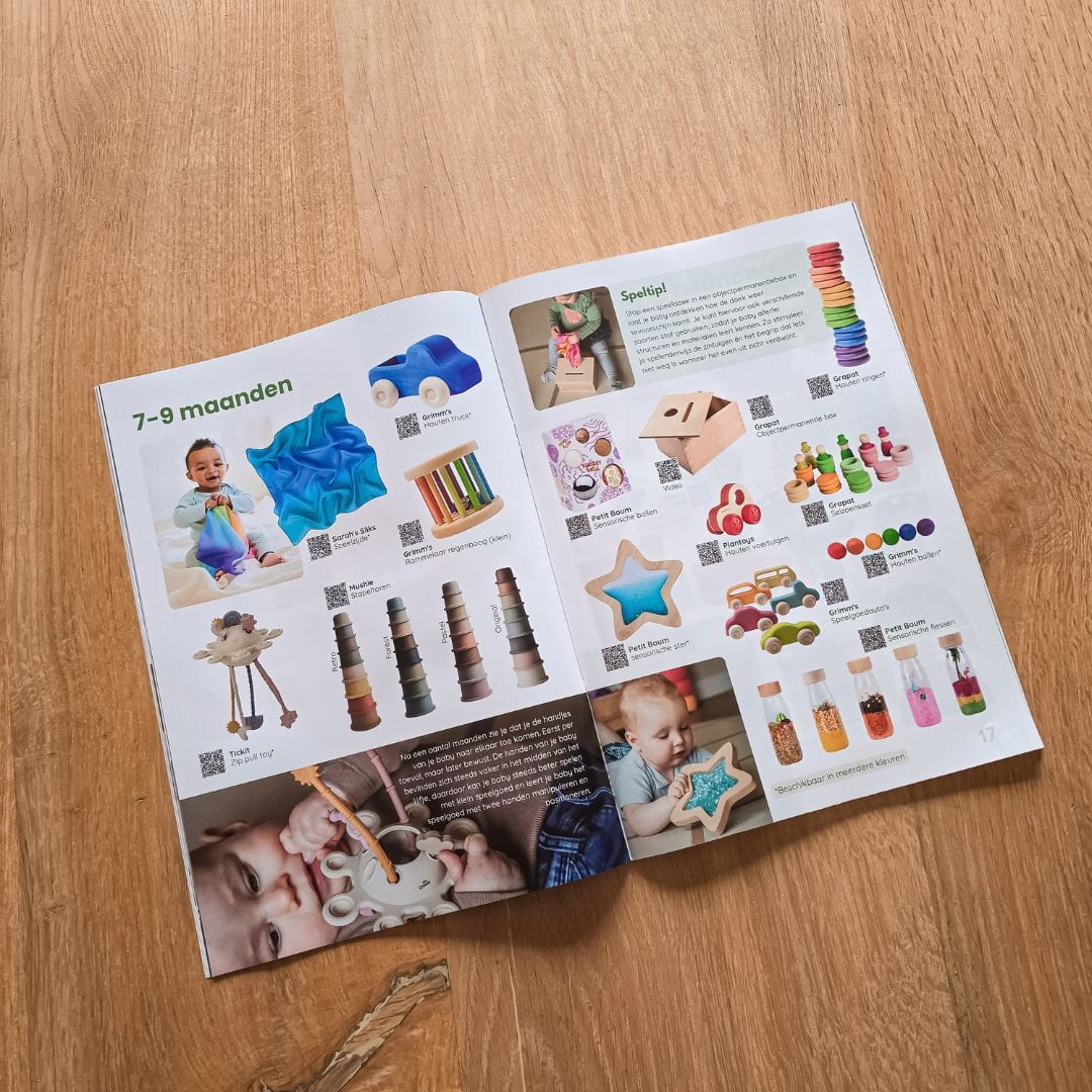 Het grote speelgoedboek van Studio Bambacht