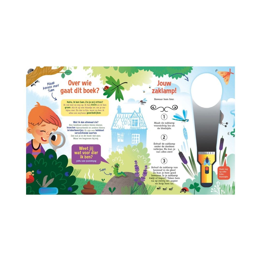 Zaklampboek speuren naar insecten en kriebelbeestjes