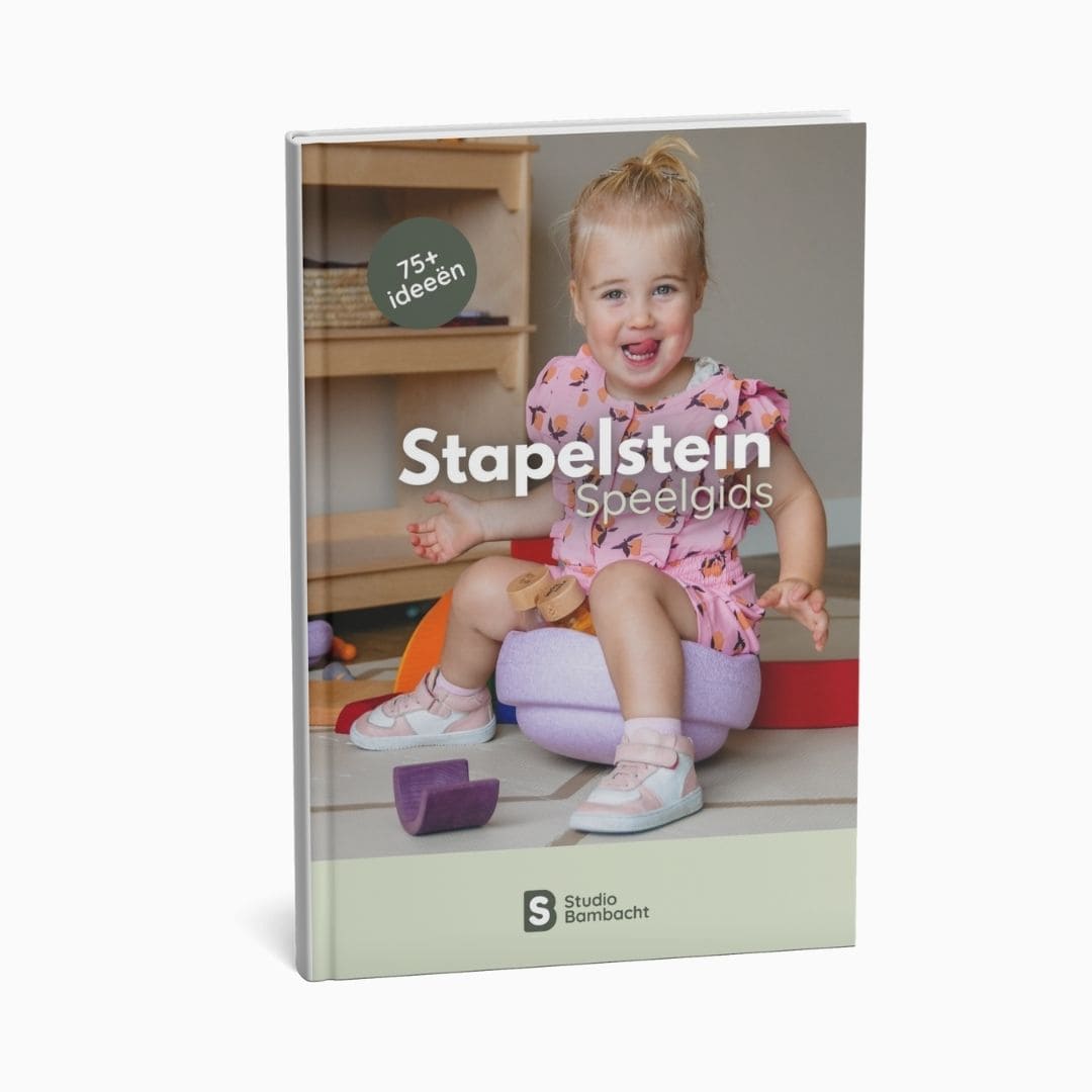Stapelstein speelgids cover
