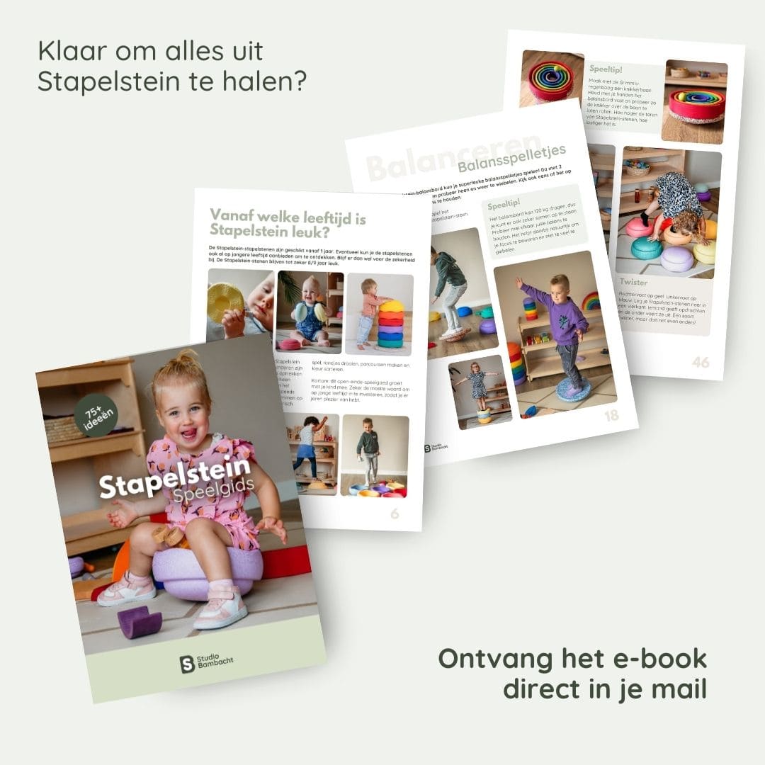 Stapelstein speelgids e-book