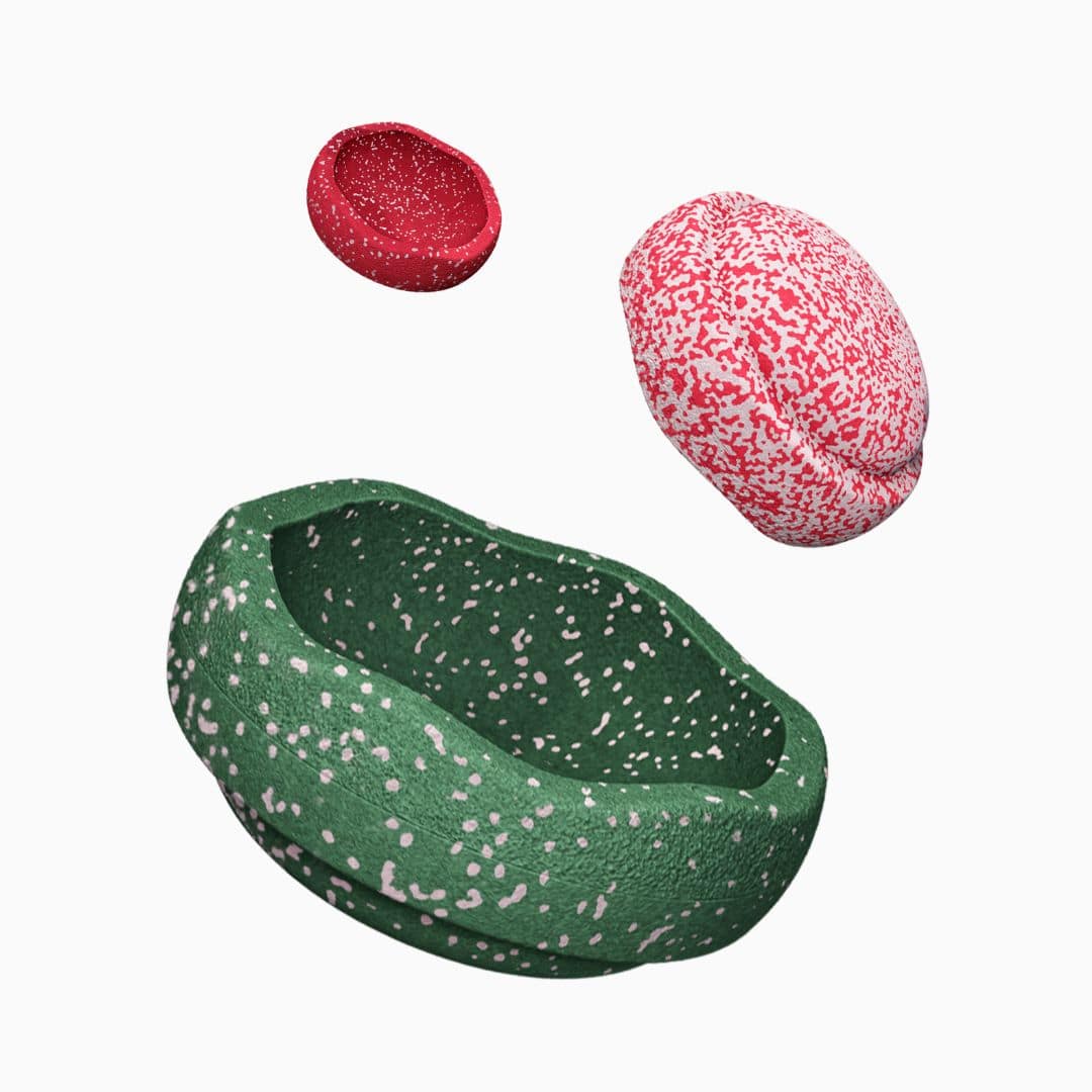 Stapelstein triology stapstenen kerstspecial set met grow, original en mini stapelstein-steen