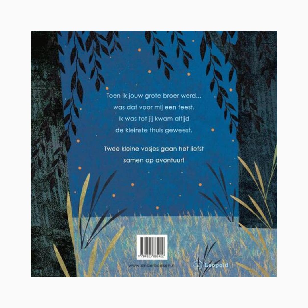Prentenboek toen ik jouw grote broer werd | Britta Teckentrup