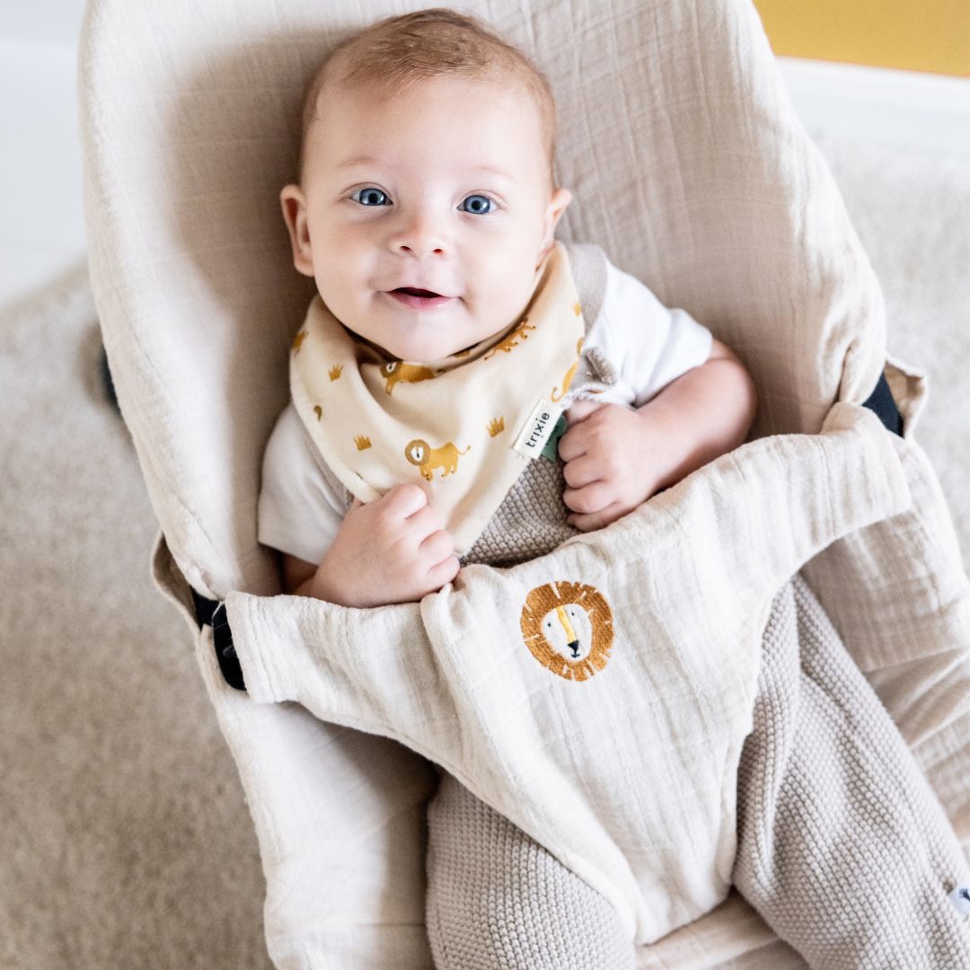 Trixie bandana slabben set Lion - 3 stuks