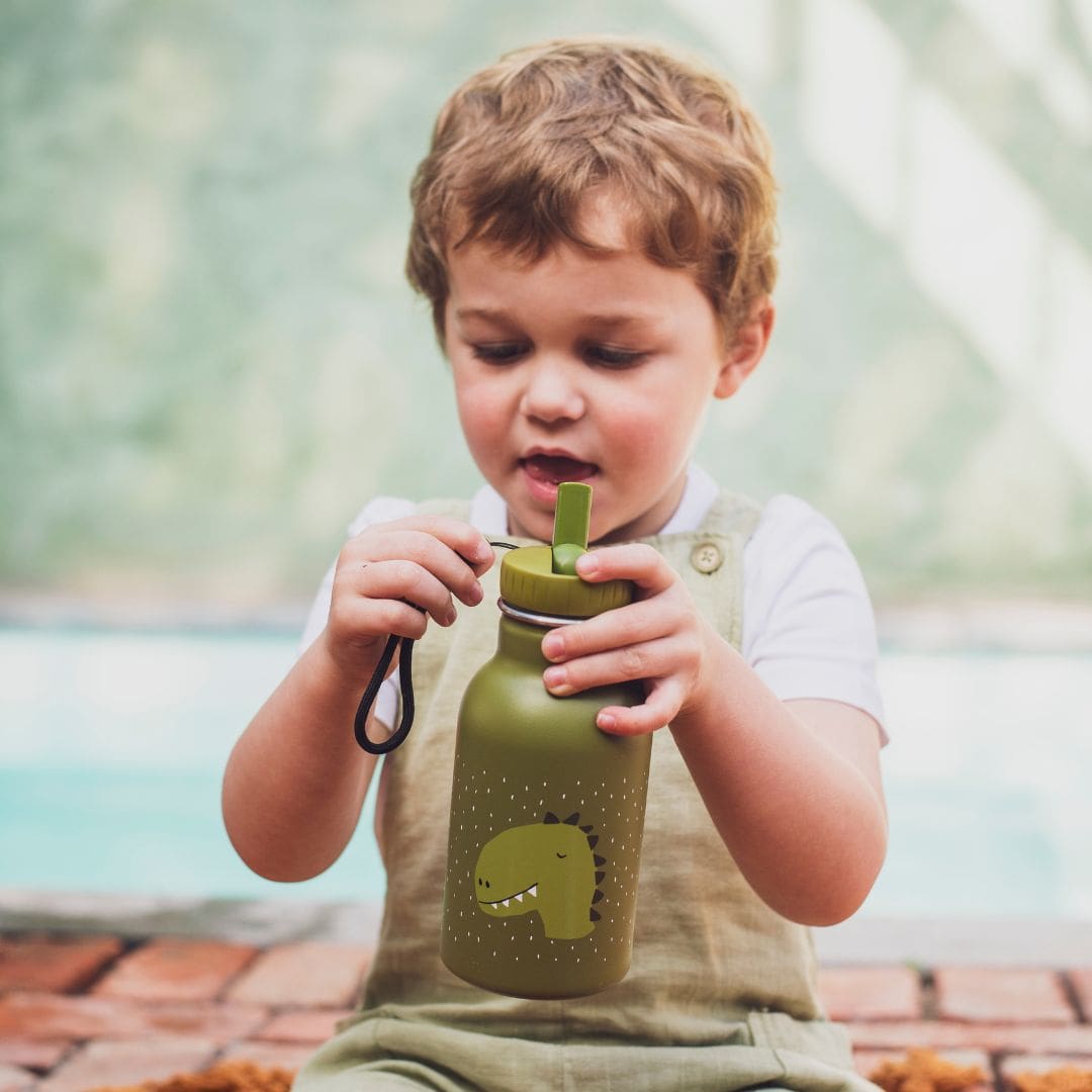 Trixie drinkfles dino Mr. Dino van rvs