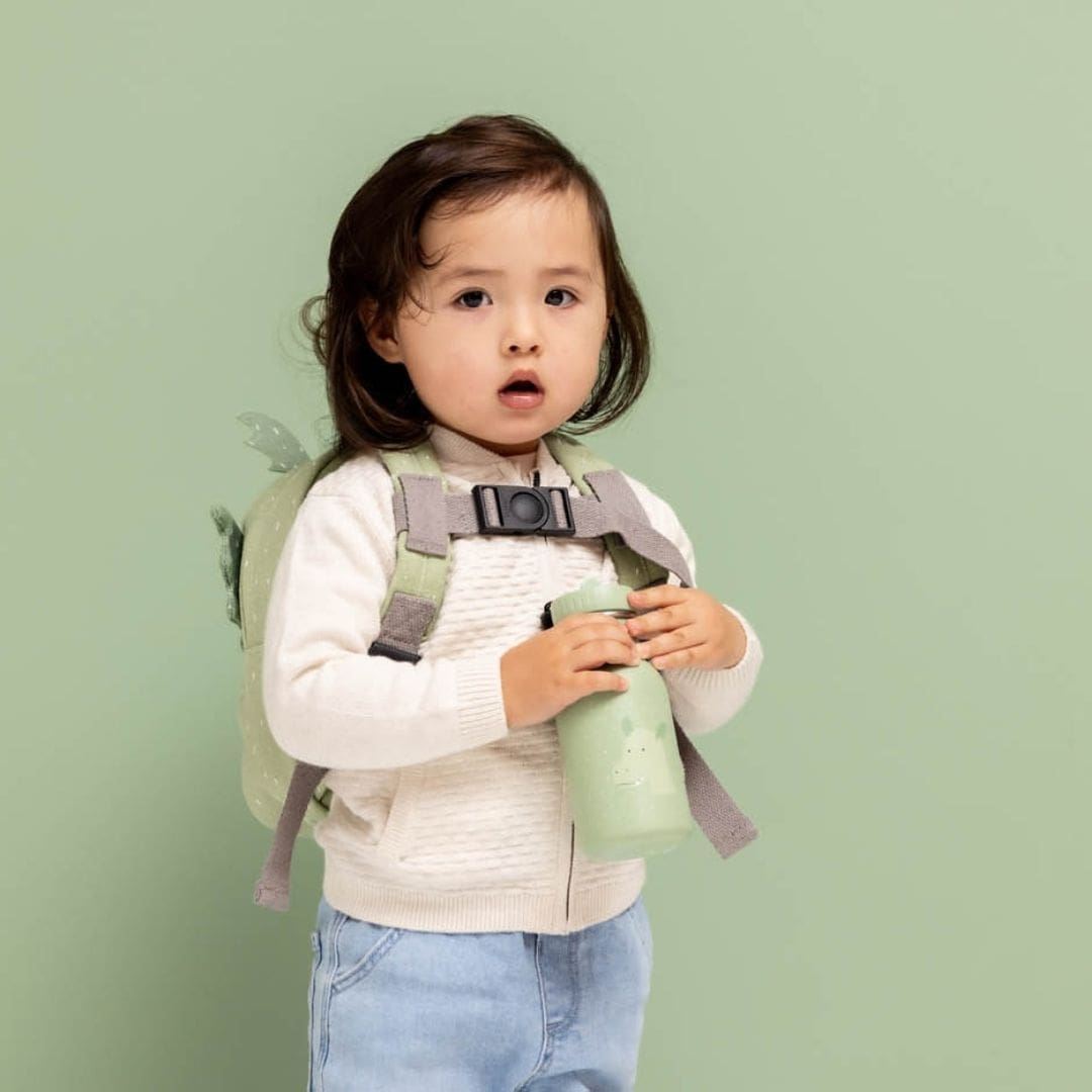 Trixie drinkfles van RVS met inhoud van 350 ML met draak mr. Dragon in de kleur oud groen