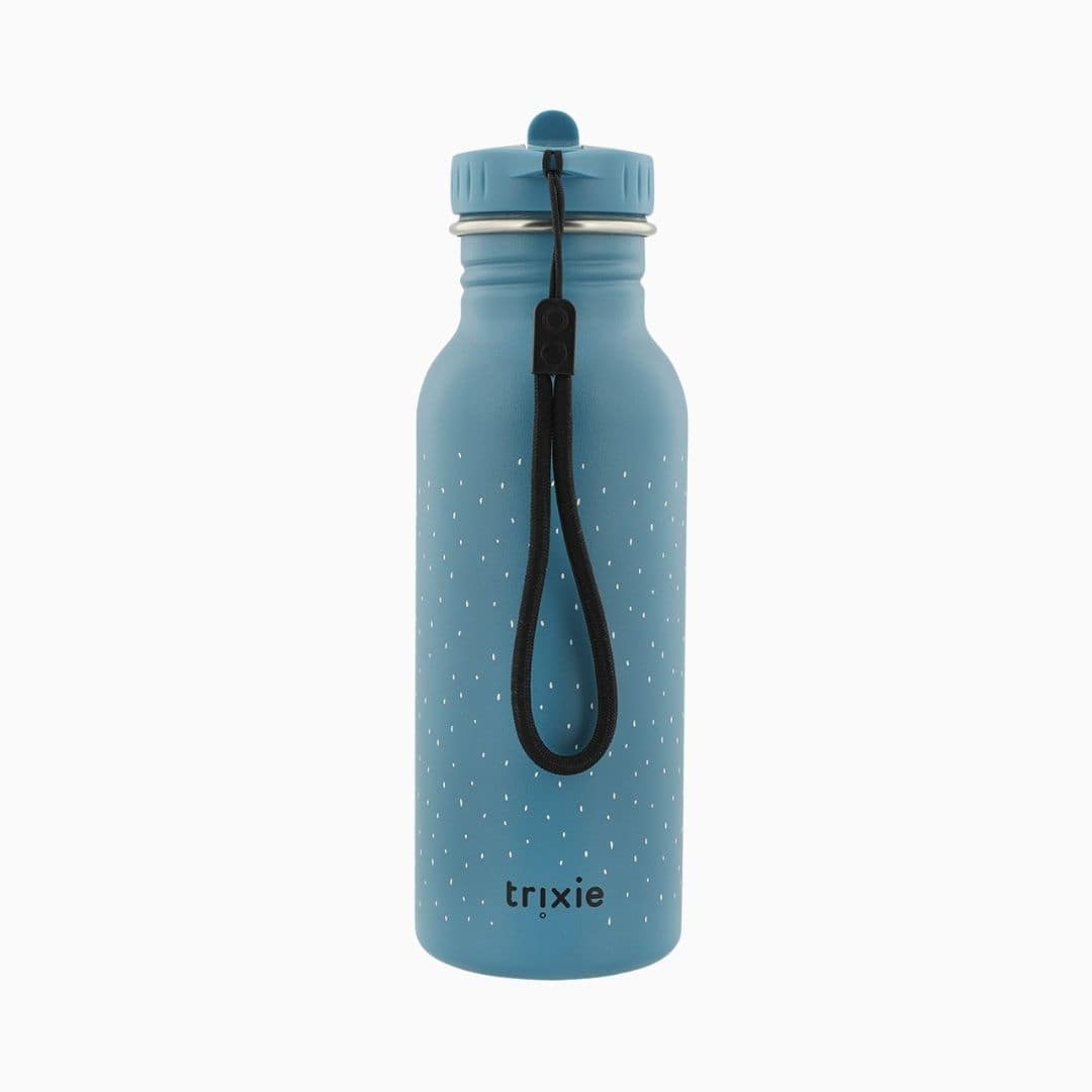 Trixie drinkfles van RVS Mr. Triceratops in de kleur blauw