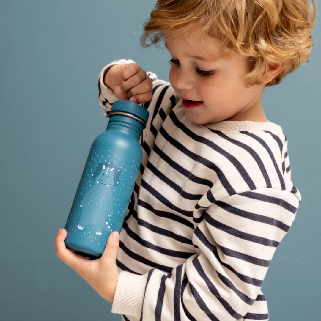 Trixie drinkfles van RVS Mr. Triceratops in de kleur blauw