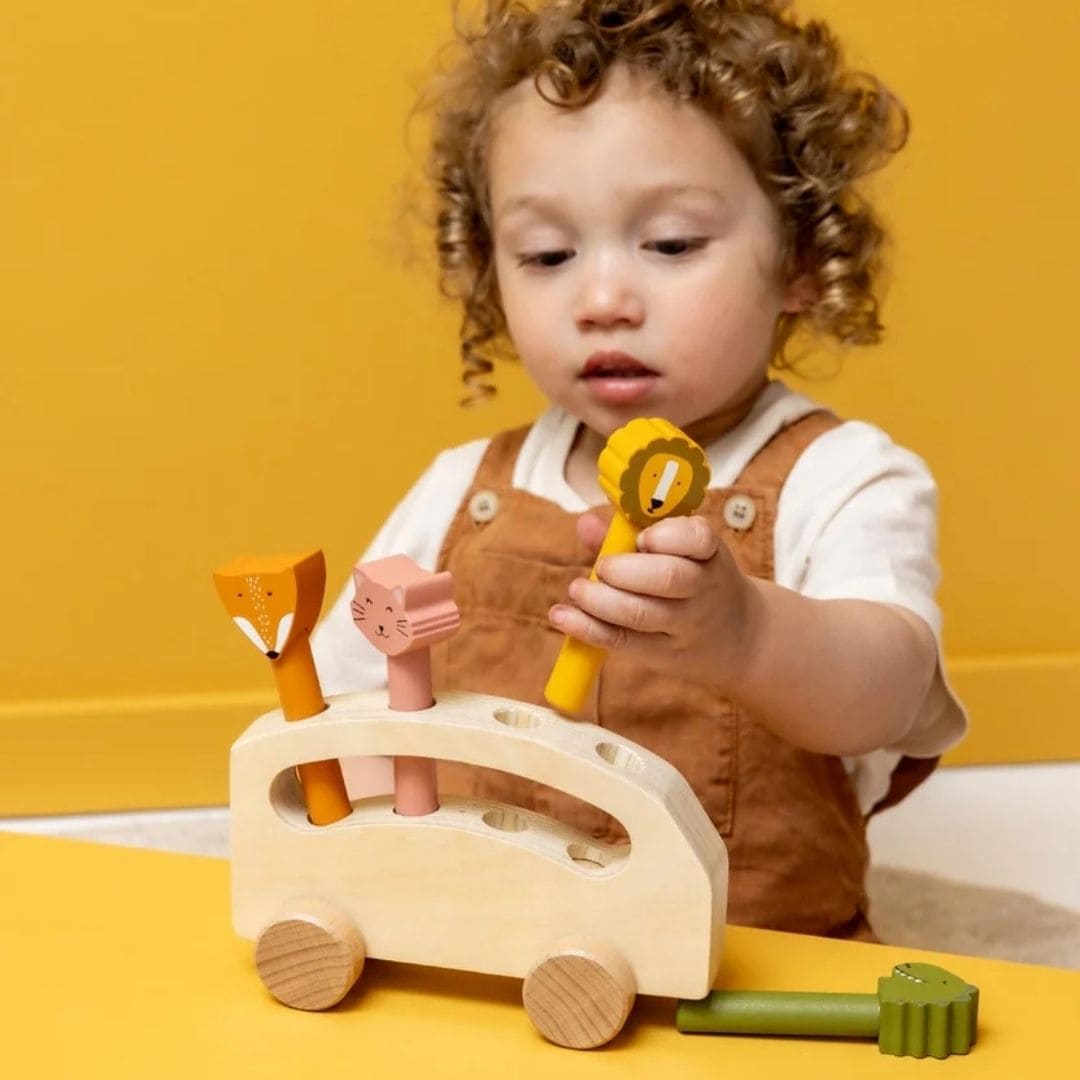 Trixie houten pop-up dierenbus