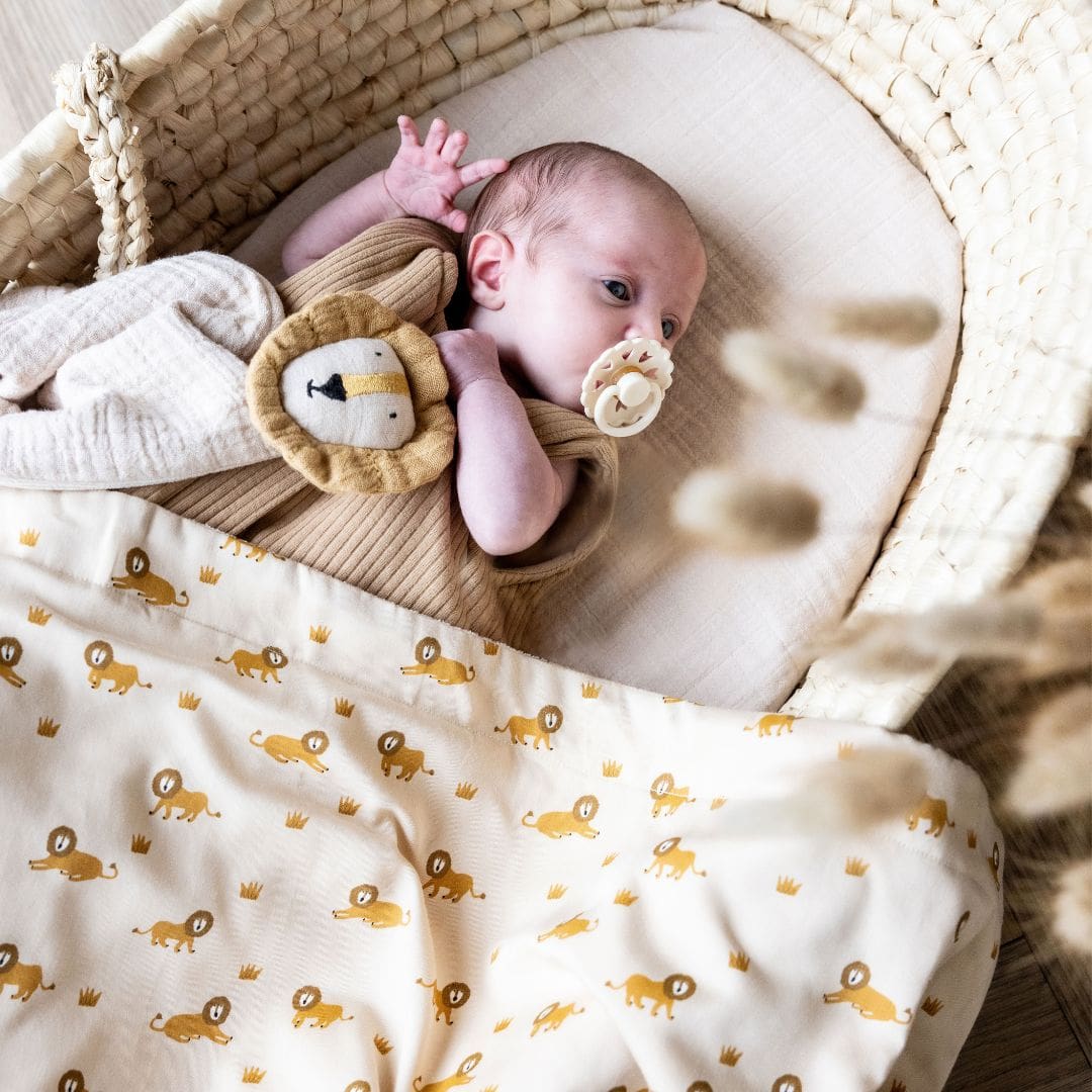 Trixie hydrofiele doeken set 55x55cm Lion - 3 stuks