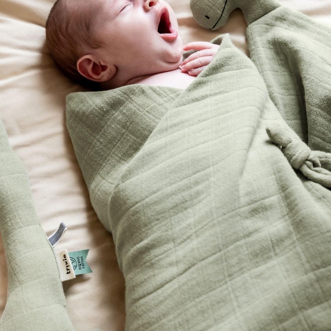 Trixie hydrofiele doeken set Dino - 3 stuks