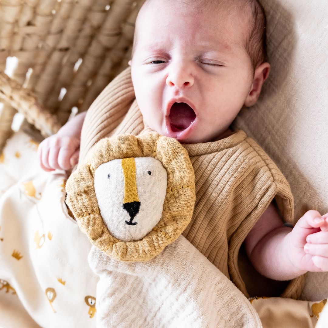 Trixie knuffeldoek van organisch katoen Mr. Lion