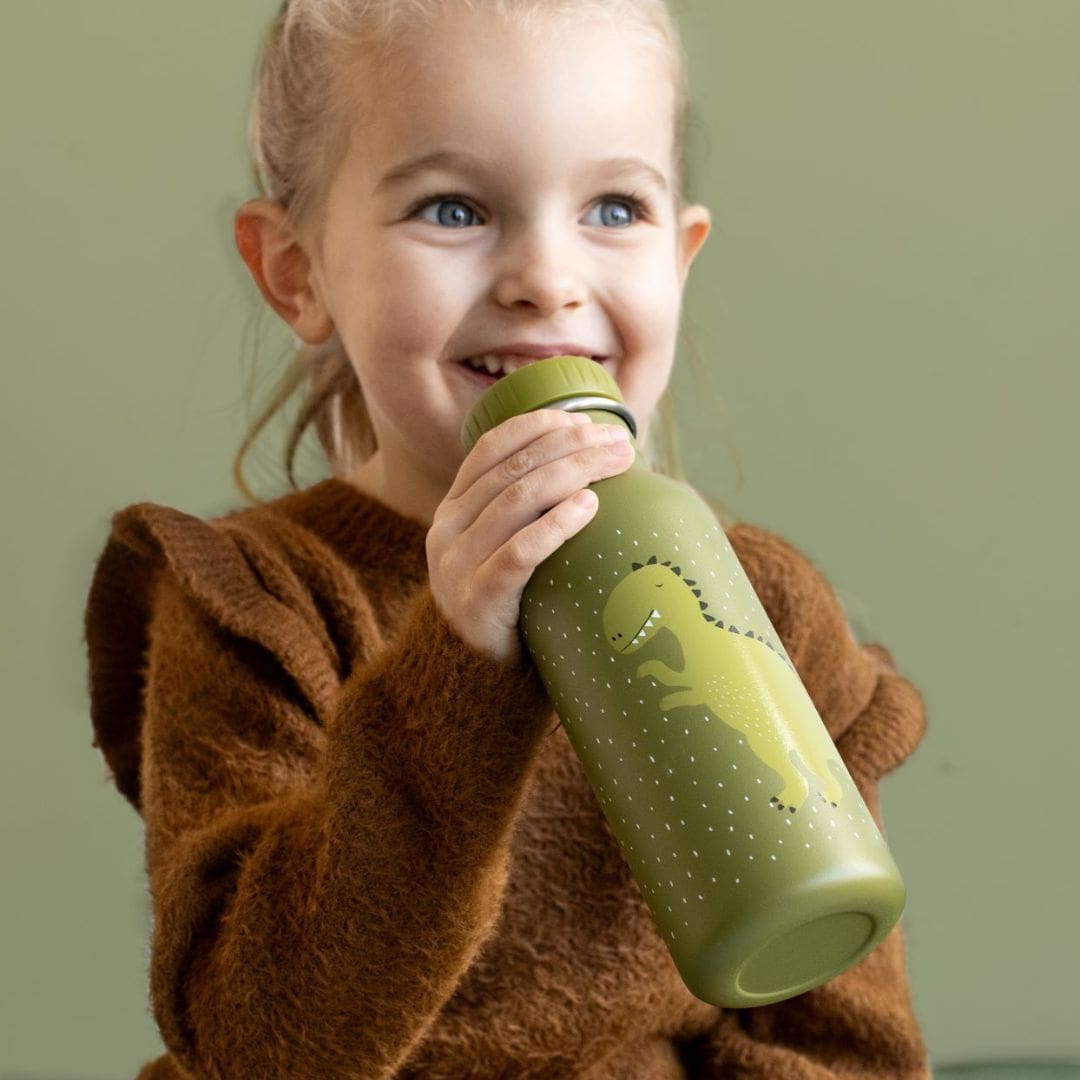 Trixie RVS drinkfles dino 500ML