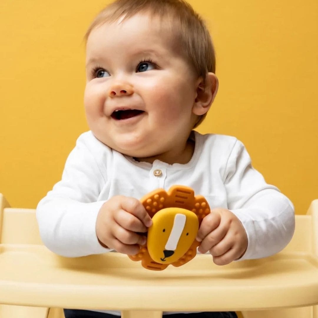 Trixie spinner met zuignap in het thema van Mr. Lion