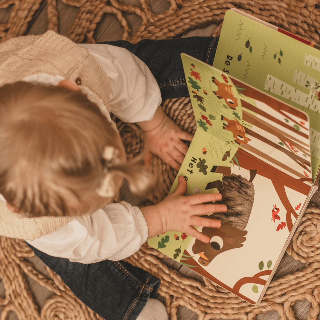 Uitgeverij clavis geluidenboekje voelboekje bosdieren Marion Billet