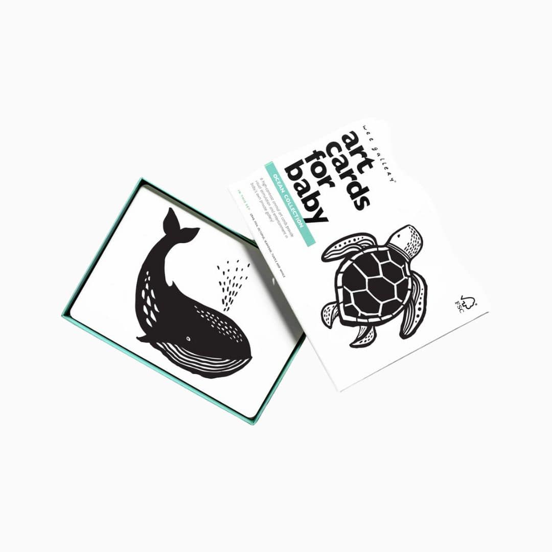 Wee Gallery zwart-wit contrastkaarten Art Cards in het thema oceaan