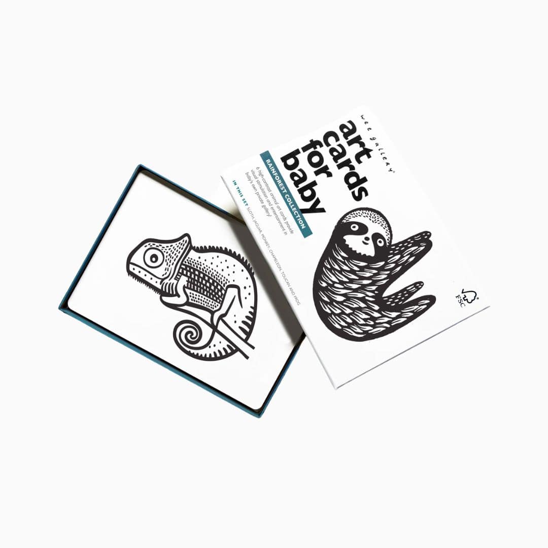 Wee Gallery art cards contrasterende zwart wit kaarten in het thema regenwoud