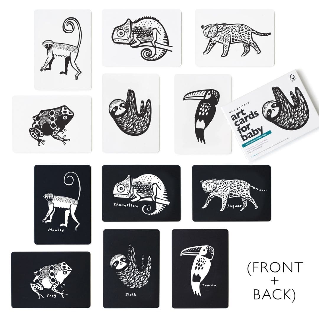 Wee Gallery art cards contrasterende zwart wit kaarten in het thema regenwoud