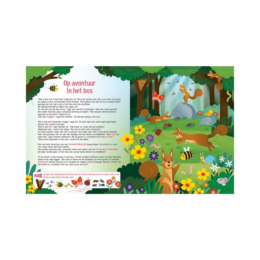 Zaklampboek speuren in het bos