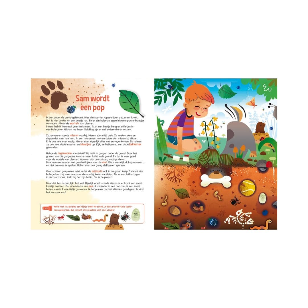 Zaklampboek speuren naar insecten en kriebelbeestjes