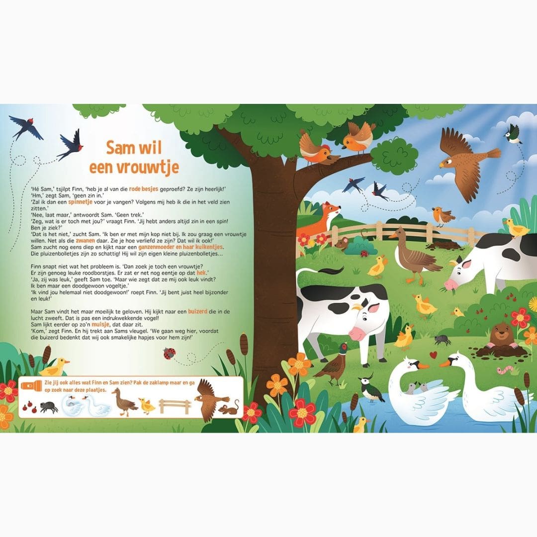 Zaklampboek van Lantaarn Publishers met de titel speuren naar vogels