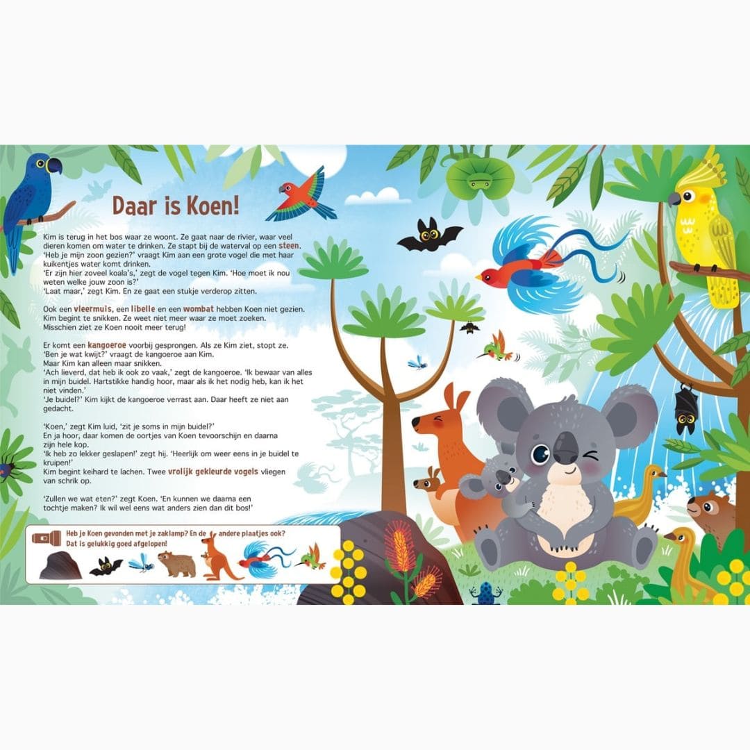 Lantaarn Publishers zaklampboek speuren naar Koala's