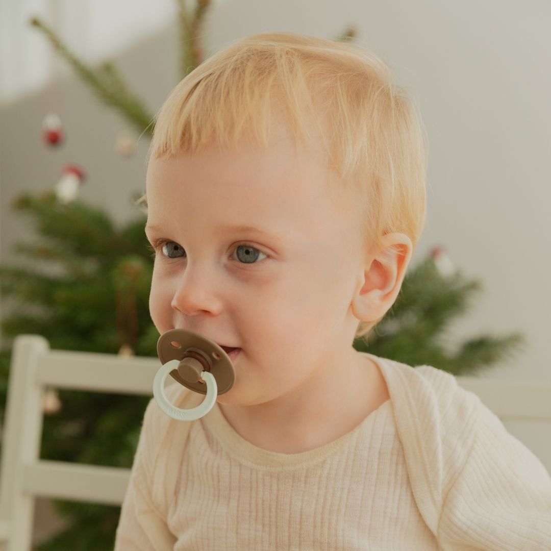 BIBS speen colour dark oak night