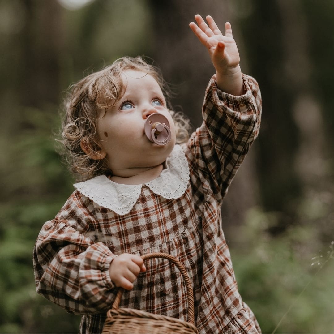 BIBS colour fopspeen met natuurrubber speen in de kleur blush